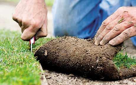 Graszoden leggen