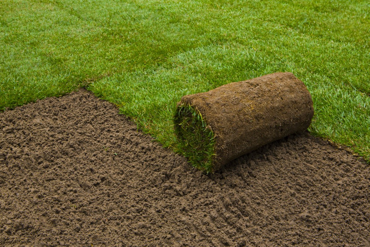 graszoden tuin