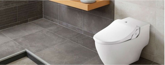 redenen bidettoilet kopen