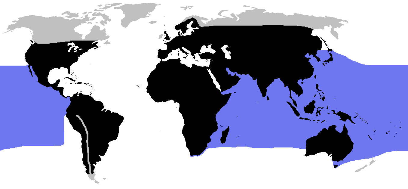 Wereldkaart