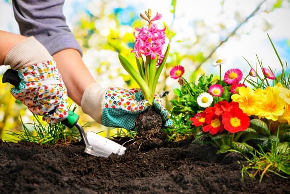 Tuinonderhoud in het voorjaar