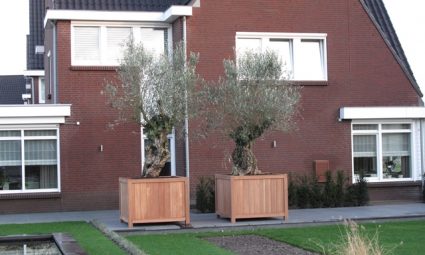 4 tips voor een houten plantenbak in de tuin