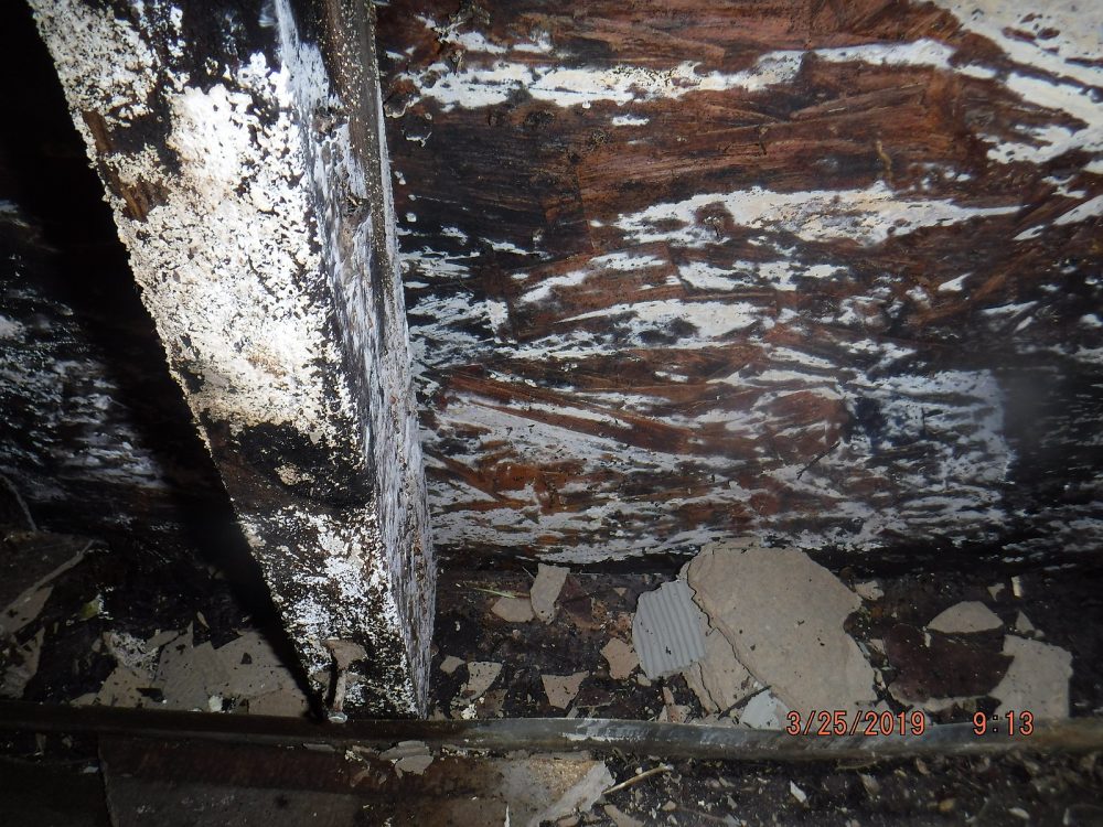 Hoe voorkom je waterschade aan je woning?