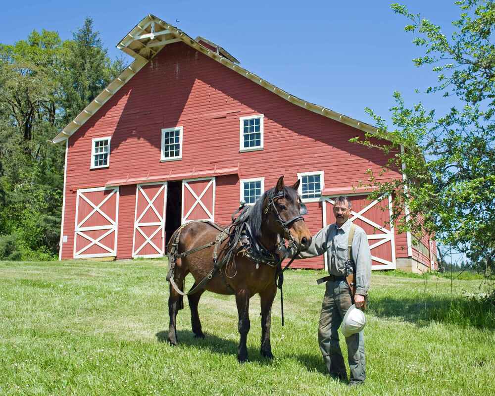 Paard aan huis of in een pensionstal