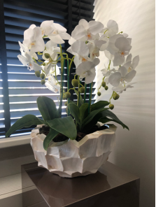 Schelpenvazen voor een fris voorjaars interieur 1