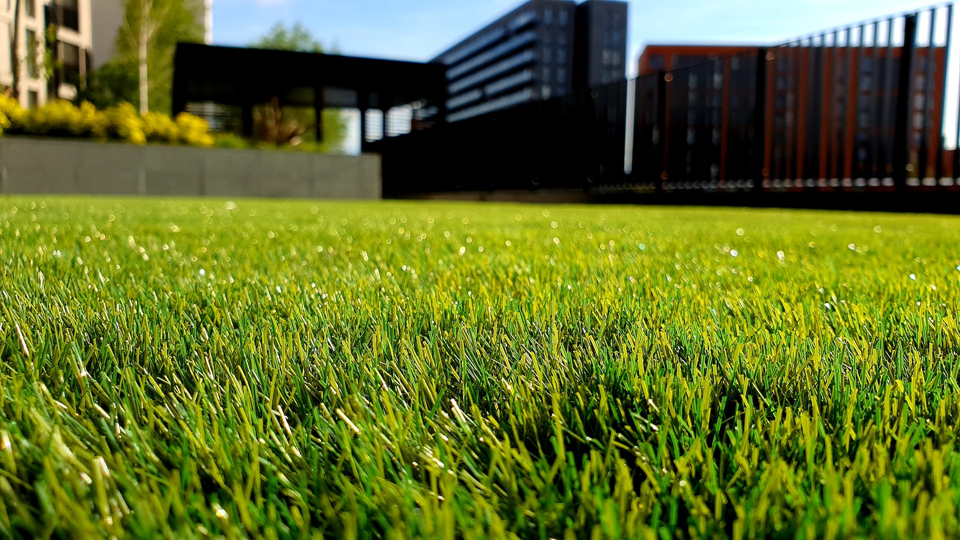 Is kunstgras kopen een slim idee