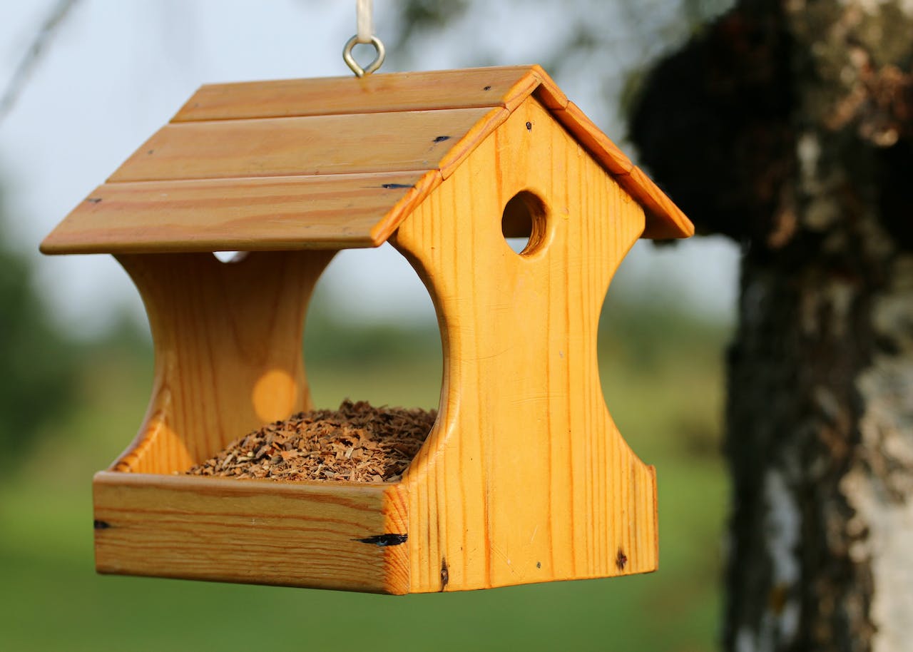 Checklist Maak je tuin vogelvriendelijk in 5 stappen