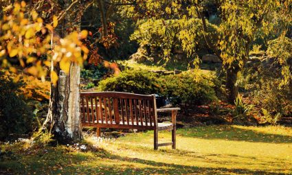 De beste tuintrends van 2026